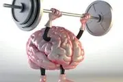تاثیر ورزش بر روی مغز
