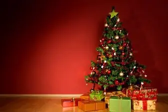 صف مردم برای خرید درخت کریسمس/ فیلم