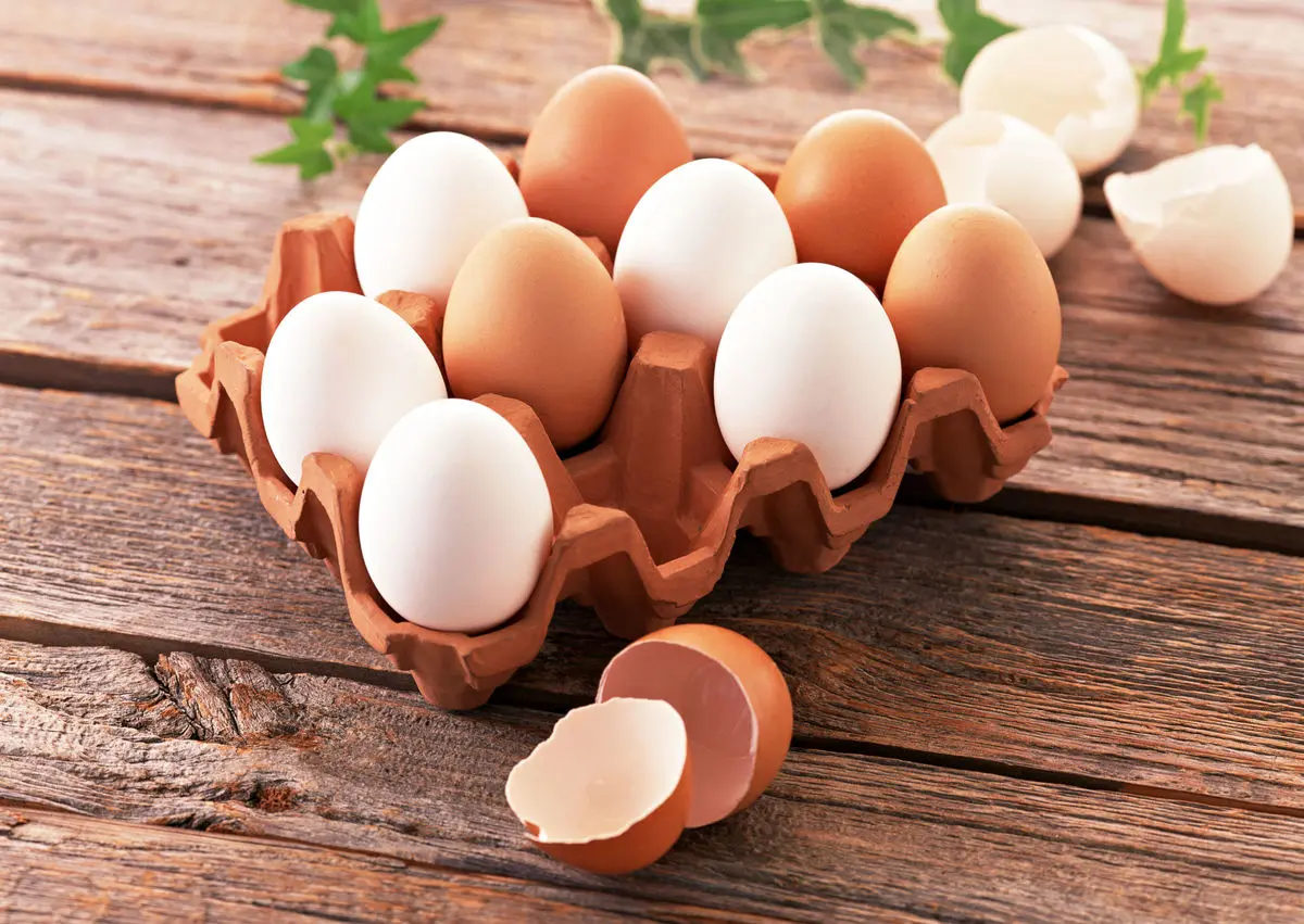 مزایای شگفت انگیز و باورنکردنی تخم مرغ