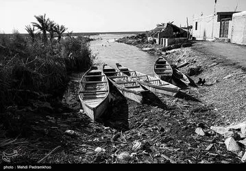 image10
