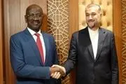 دیدار  وزیر خارجه موریتانی با امیرعبداللهیان