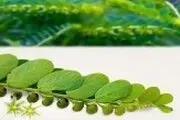 سنگ شکن های طبیعی کلیه و صفرا
