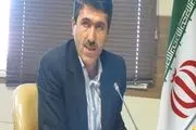 وجود بیش از 5 هزار کلنی زنبور عسل در دهگلان