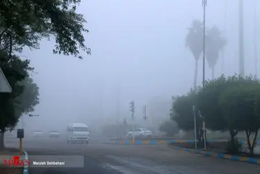 بندر مه آلود