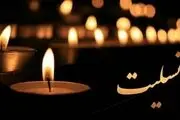 سرمربی تیم‌ملی عزادار شد