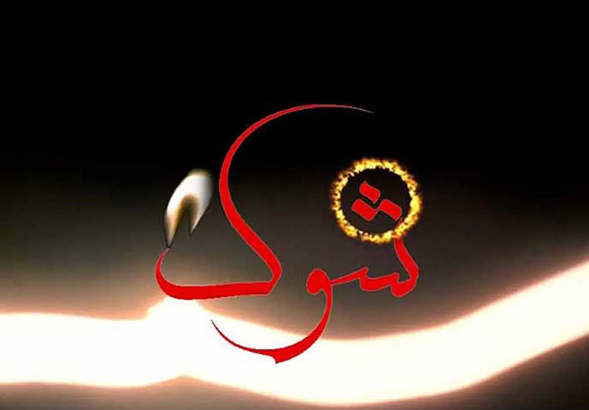 "نسرین مقانلو" و "حمید حامی" راویان مستند "شوک" 