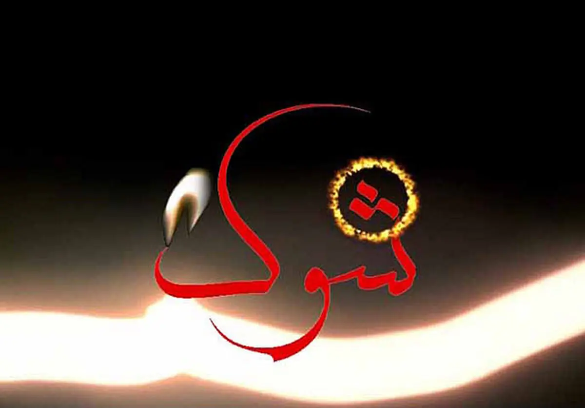"نسرین مقانلو" و "حمید حامی" راویان مستند "شوک" 