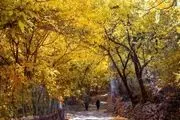 عکس های زیبا از پاییز در ایران/ گزارش تصویری


