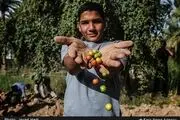 خرمشهر ربع قرن پس از جنگ + تصاویر 