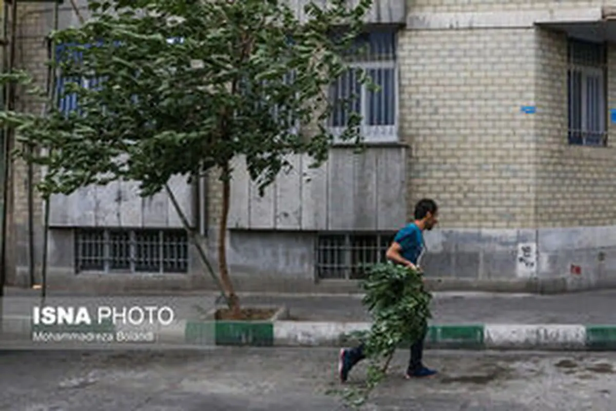 سرعت وزش باد در تهران به ۹۰ کیلومتر بر ساعت رسید