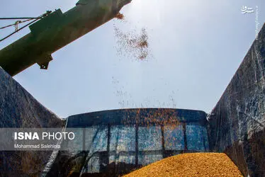 8Zl6ilbHEOMe