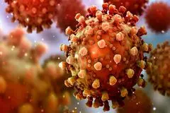 آخرین وضعیت آنفلوآنزا و کرونا در کشور