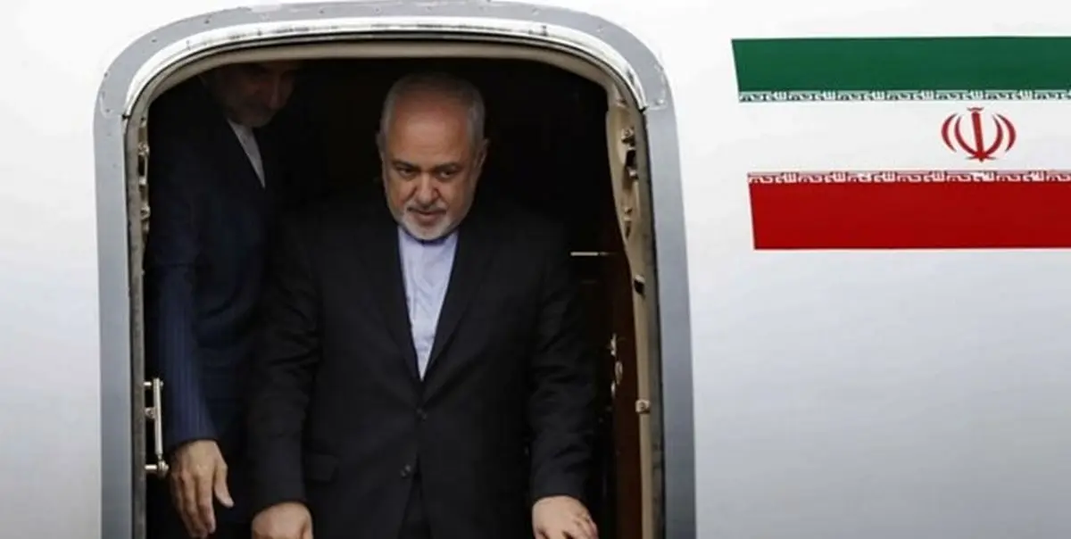 ظریف وارد تهران شد