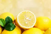 واردات لیمو ترش به کشور