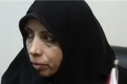 امین‌زاده: کاهش میزان دعاوی در محاکم دادگستری